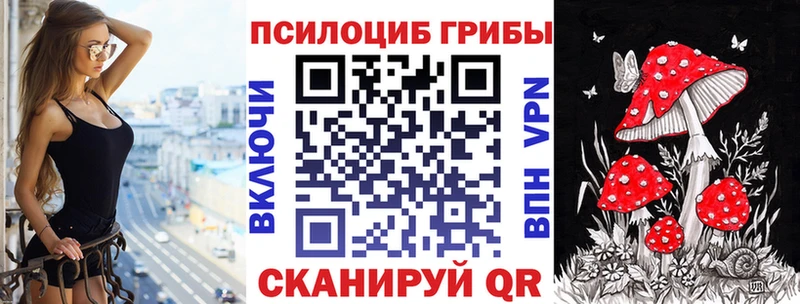 OMG   Кунгур  Галлюциногенные грибы MAGIC MUSHROOMS 